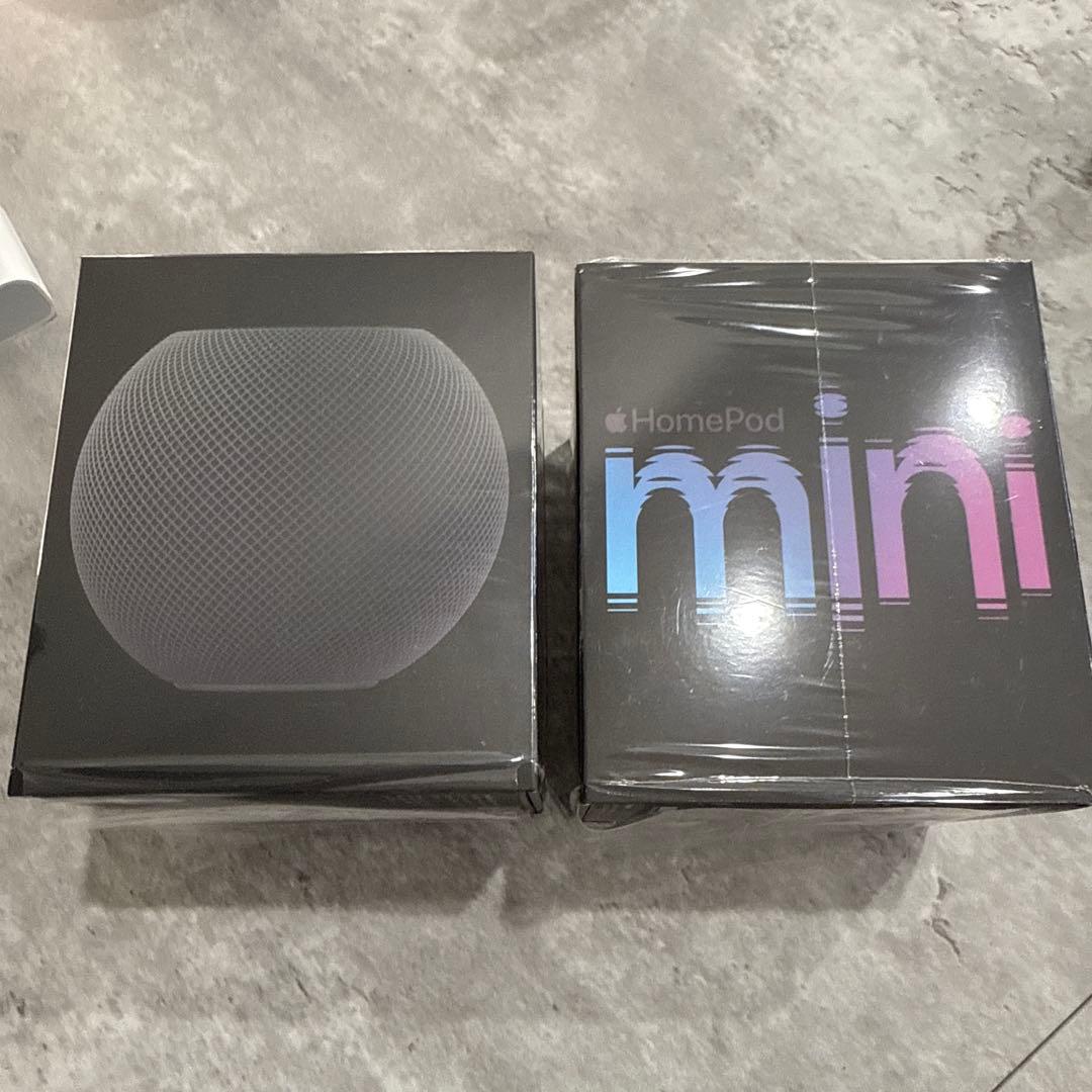 Pod mini スペースグレイ　2個セット　ステレオ