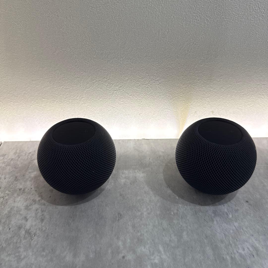 Pod mini スペースグレイ　2個セット　ステレオ