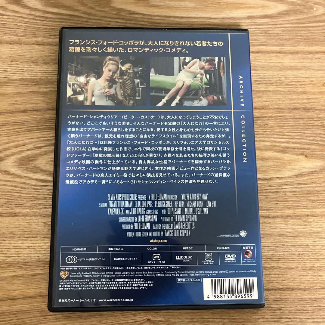 大人になれば… フランシス・フォード・コッポラ　DVD レアDVD 絶版