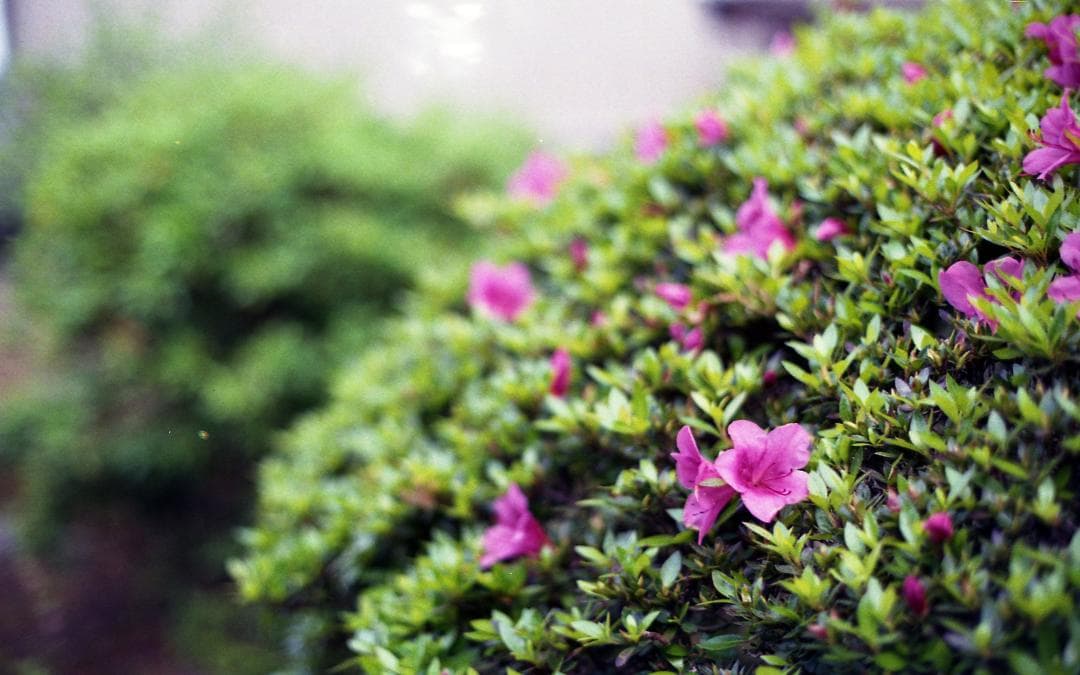 【試写確認済み】オリンパス OLYMPUS OM-1