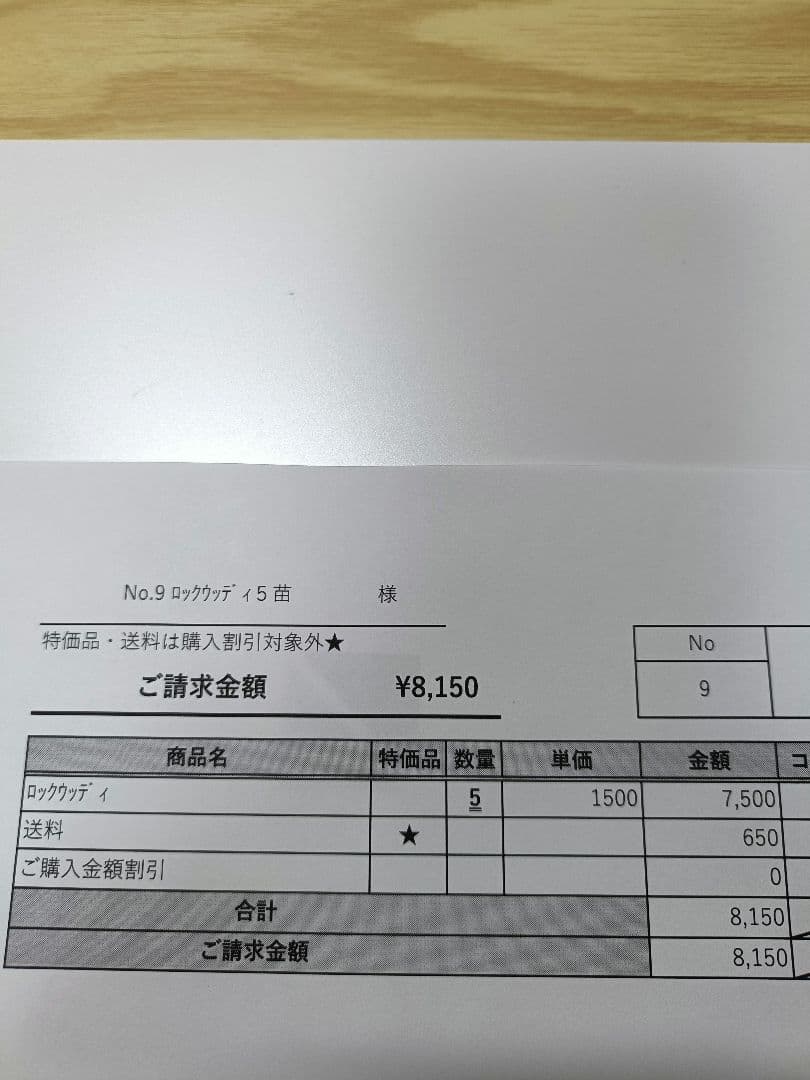 椿様ご検討中　　5苗半額セール傷多め　ロックウッディ　ハオルチア　レア種