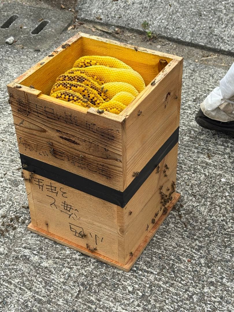 その他 加工食品 Susan