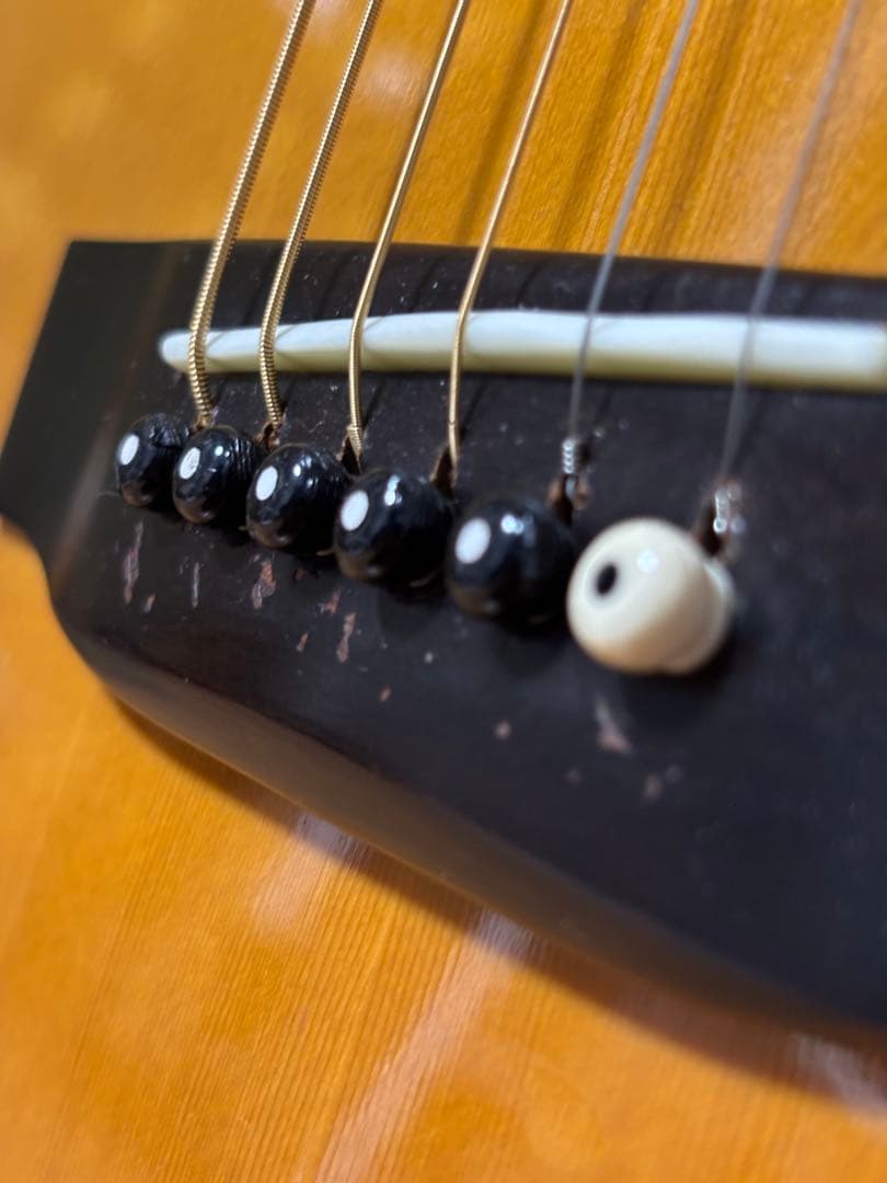 後期型！Morris モーリス　TF W-50 バックハカランダ3p