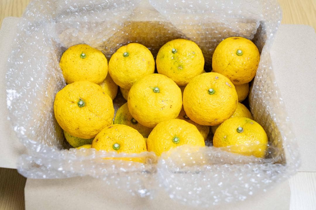 高知県産北川村本柚子約20kg　農薬：栽培期間中不使用【最終締切間近】