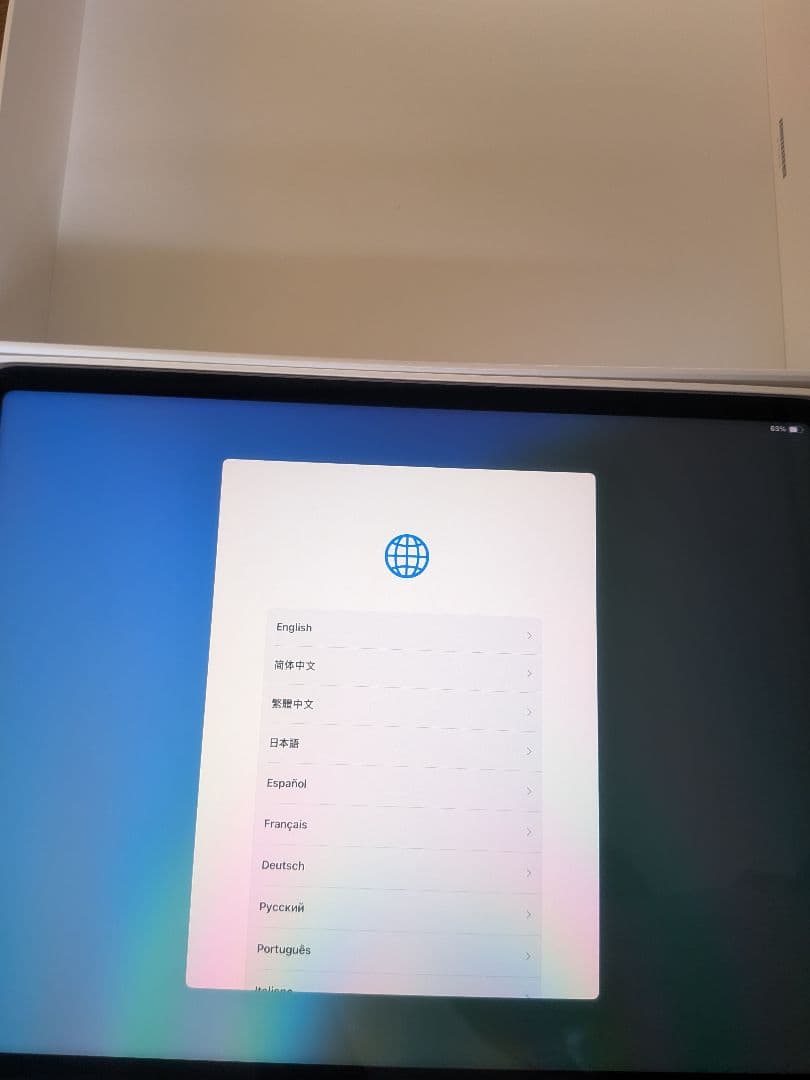 iPad pro 12.9 第5世代(2021)