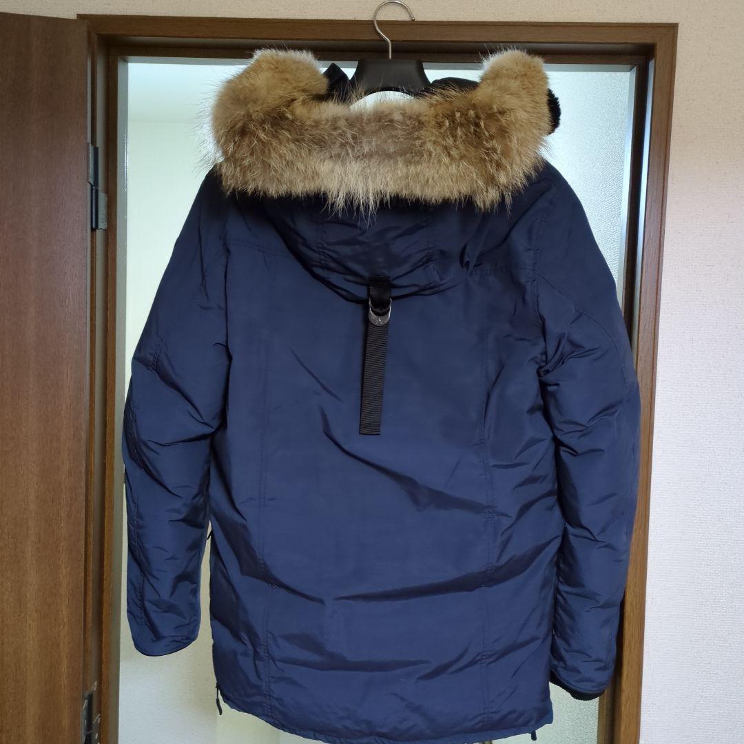 【ポンちゃん】アークティックベイ　ARCTIC BAY