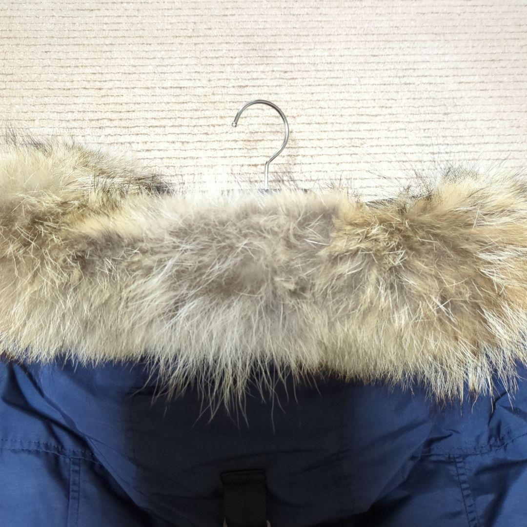 【ポンちゃん】アークティックベイ　ARCTIC BAY