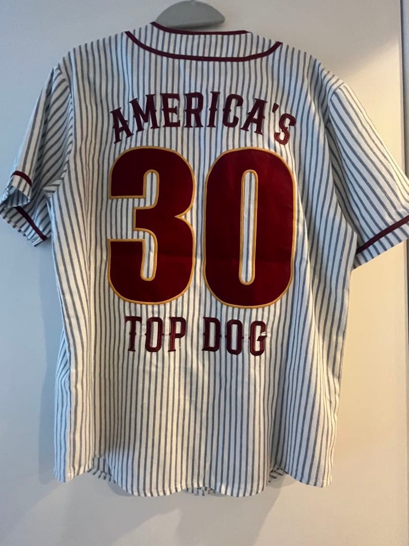 カルフォルニアDisney PLUTO ストライプTシャツ　LA美品