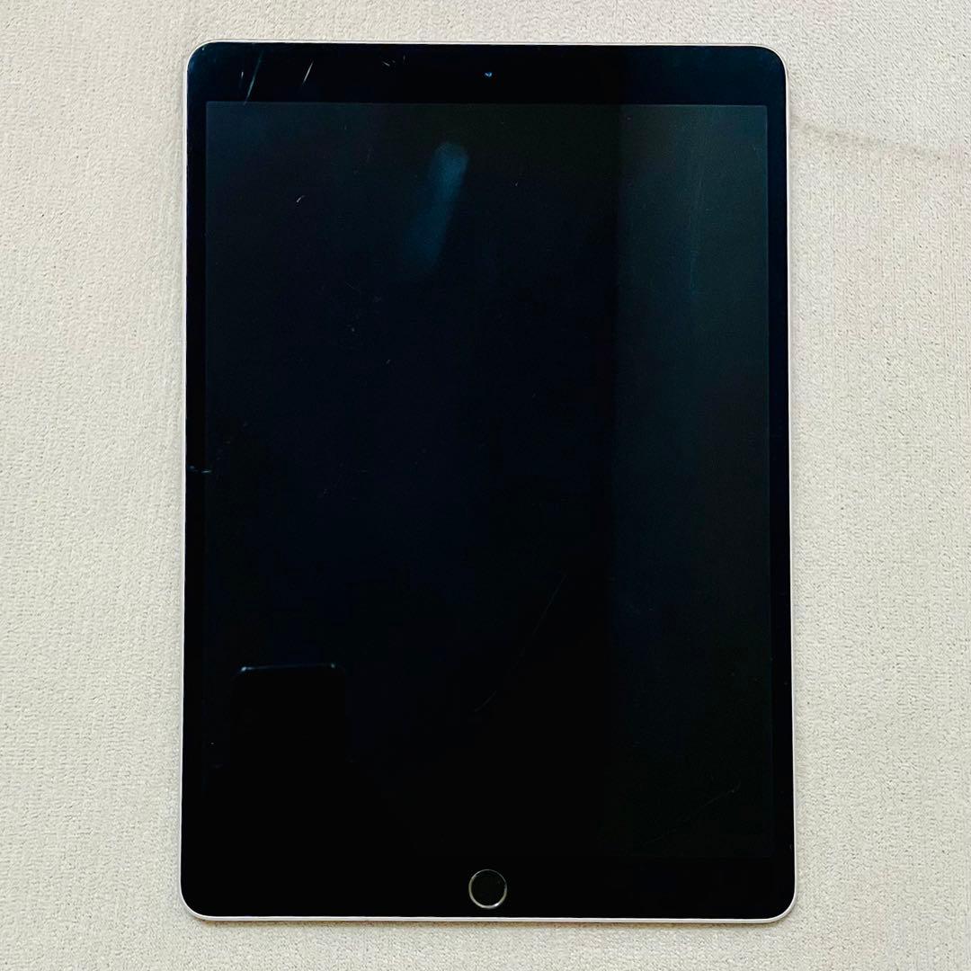 g*i様 iPad Pro 10.5インチ Cellular 256GB スペー