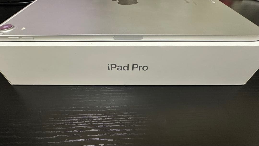 iPad Pro 11インチ 第1世代 64GB Wi-Fiモデル（即日発送可）