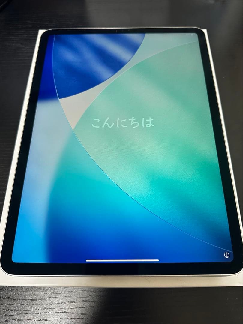 iPad Pro 11インチ 第1世代 64GB Wi-Fiモデル（即日発送可）