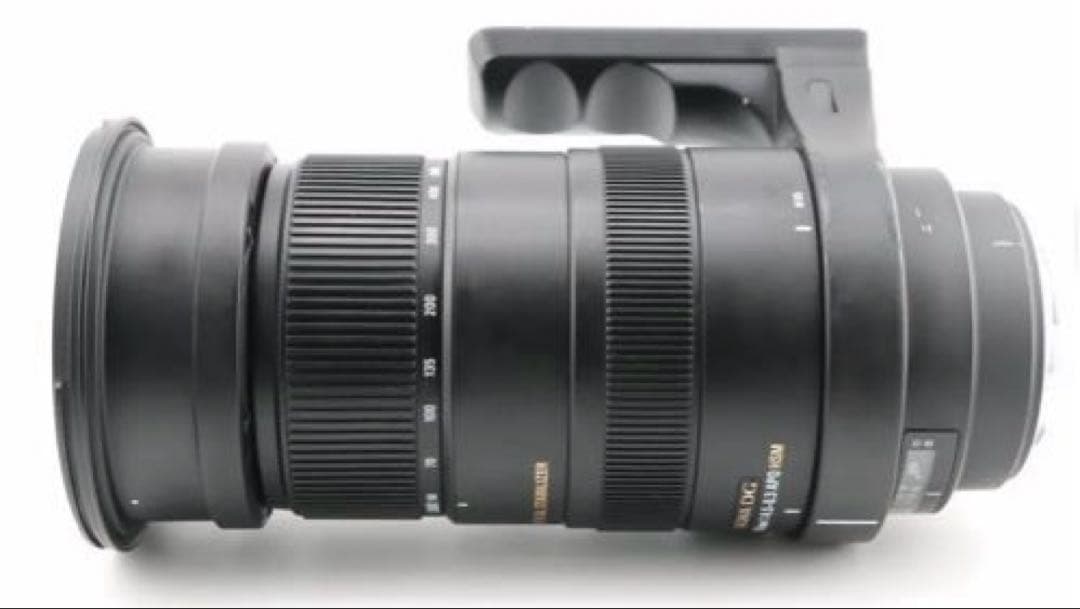 レンズ(ズーム) SIGMA APO 50-500mm F4.5-6.3 DG OS HSM