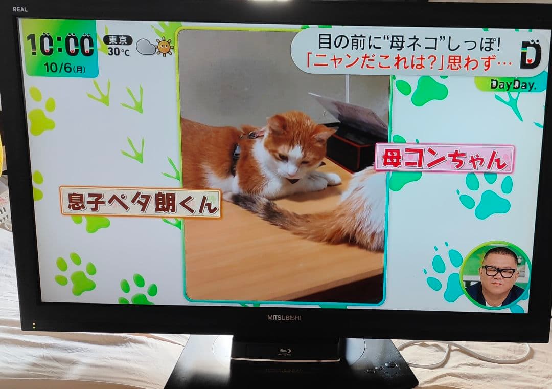 MITSUBISHI REAL 37インチ液晶テレビ250GB録画HDD内蔵