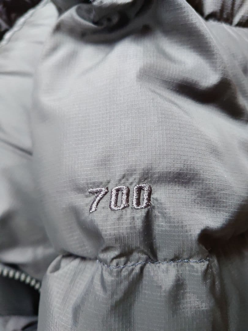 ノースフェイス.ヌップシダウンジャケット　 Ｌサイズ(ガンメタグレー)