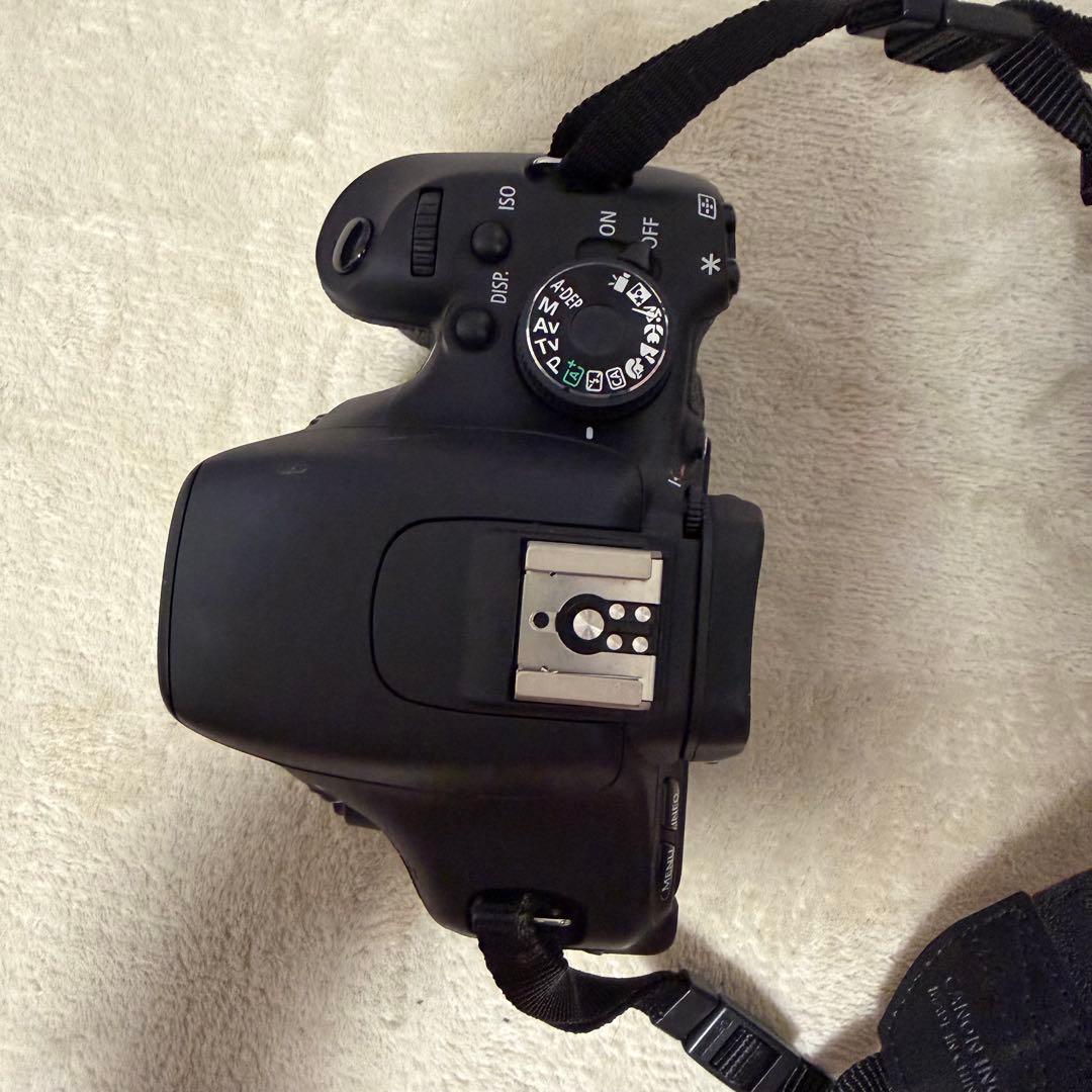 Canon EOS Kiss X5 レンズ2本セット