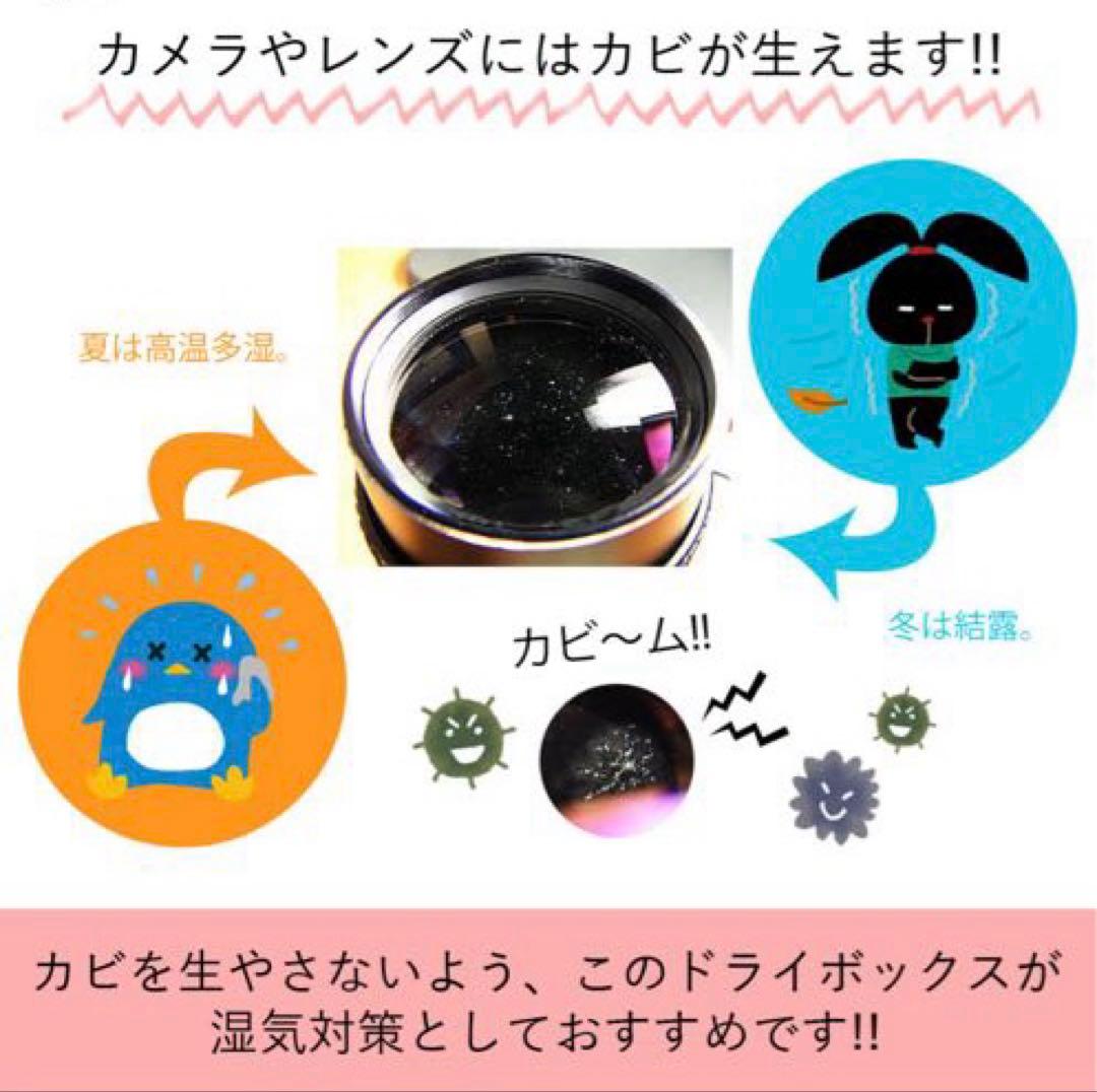 PanasonicミラーレスLUMIX GF10 ダブルレンズキットセット他