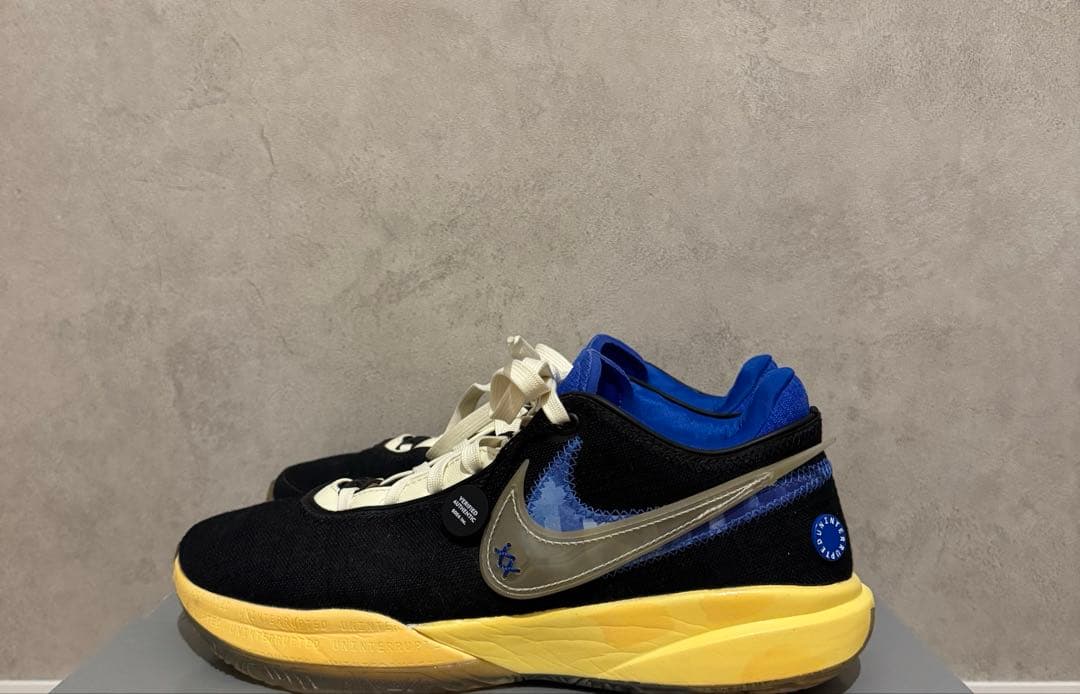 Uninterrupted × Nike LeBron 20