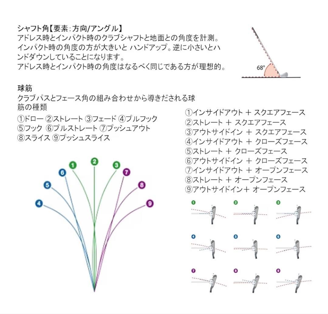 GARMIN ゴルフスイングチェッカー TRUSWING J 動作確認済み