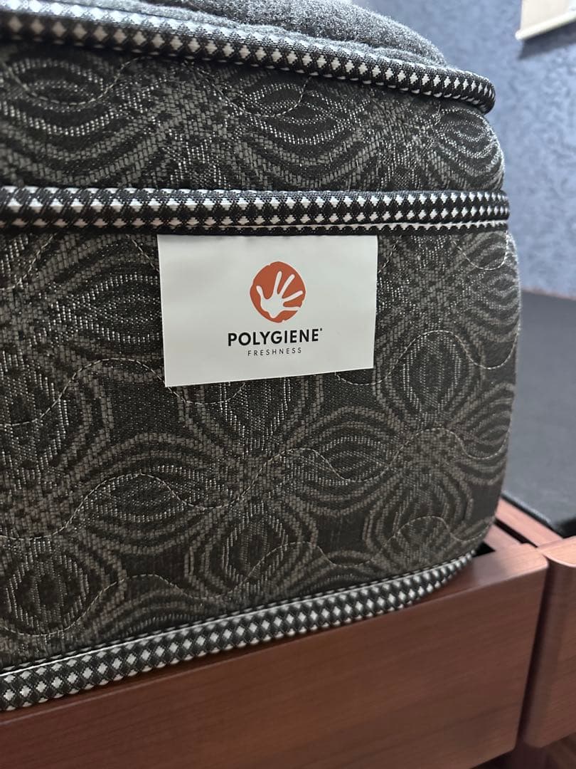 【お得】シーリー シングル マットレス(チタンコレクション エバンスⅢ)