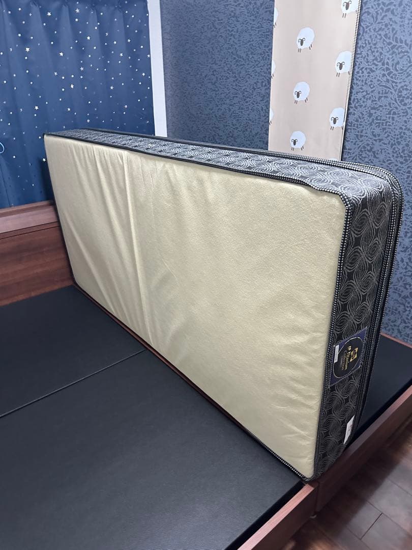 【お得】シーリー シングル マットレス(チタンコレクション エバンスⅢ)