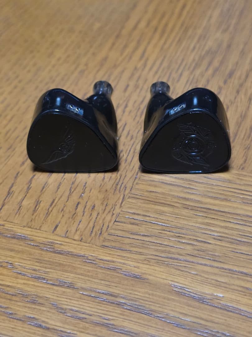 【かねこ】【美品】Empire Ears Raven コーティング済