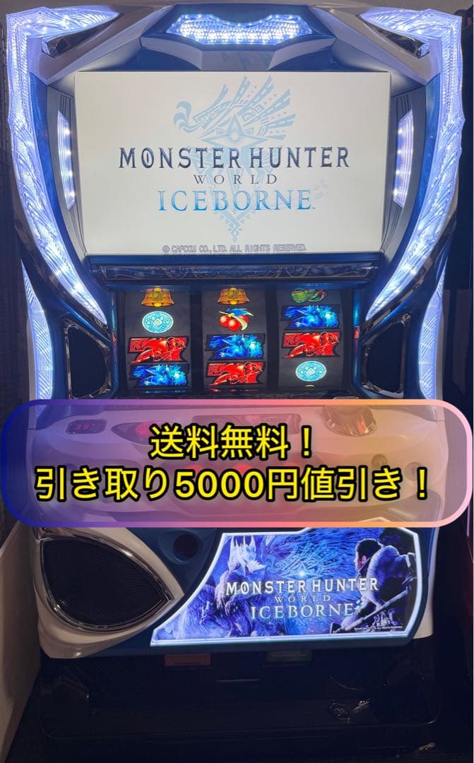 【ふーちゃん様】専用モンスターハンターワールド アイスボーン 不要機付