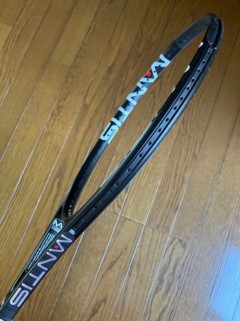 【美品】WANTISプロ295テニスラケット専用グロメット付き