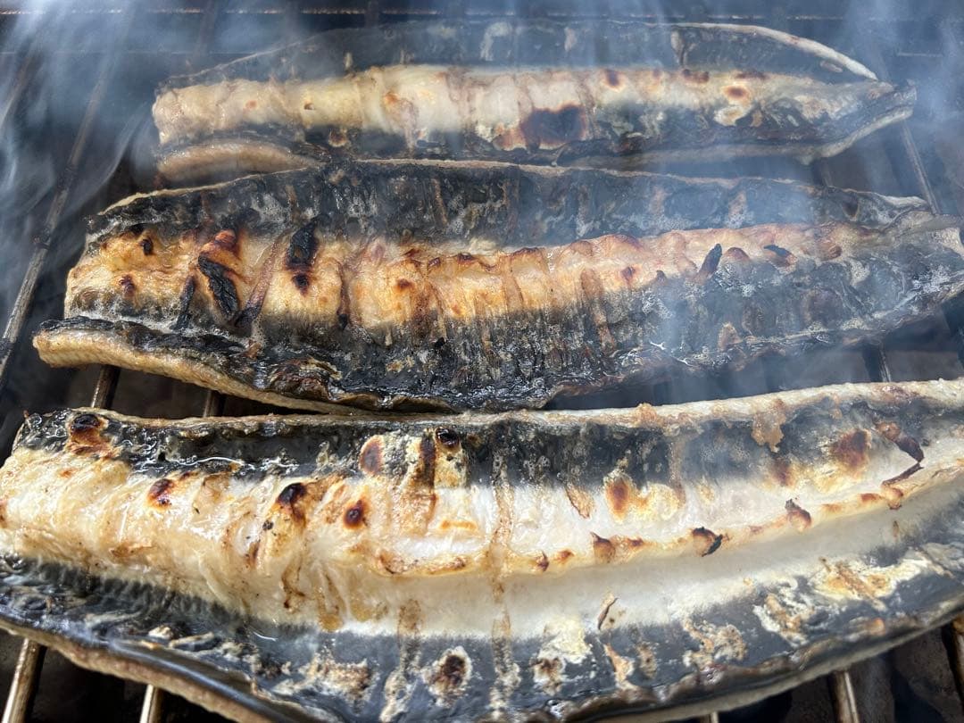 【極上うなぎ】大サイズ140g -170g　三河一色産　4尾セット　炭火焼き鰻