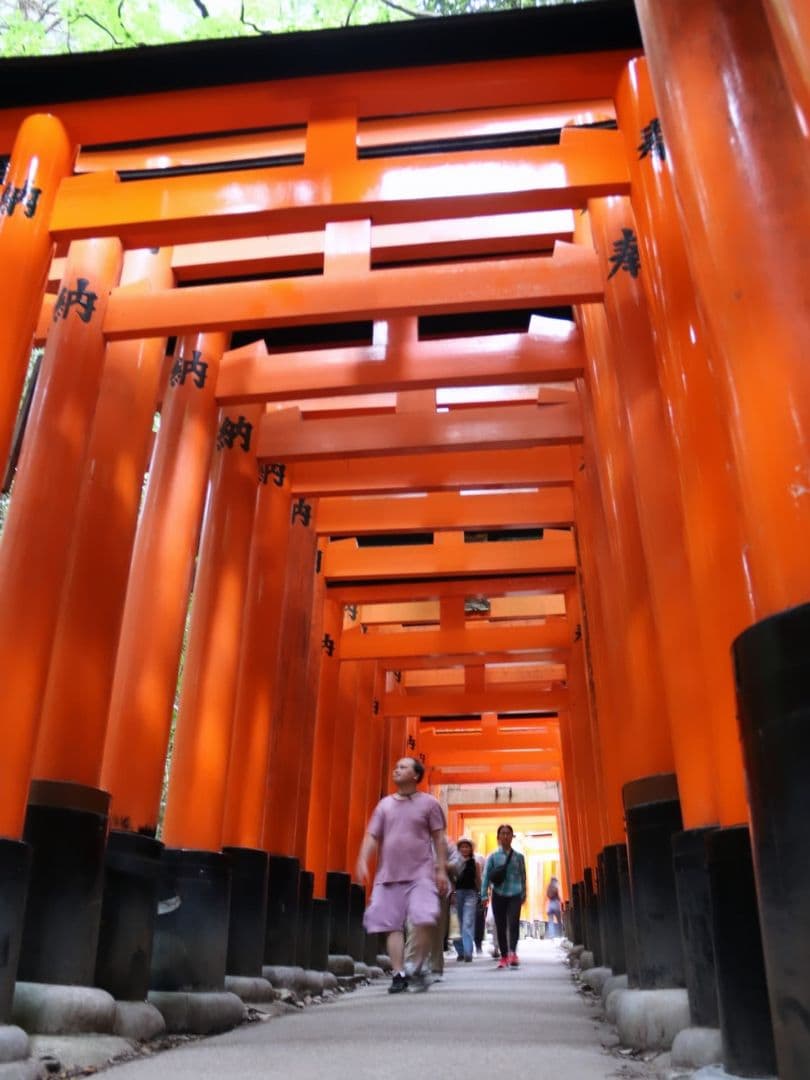 は*ん様 Canon EOS 80D デジタル一眼レフカメラ まとめ売り