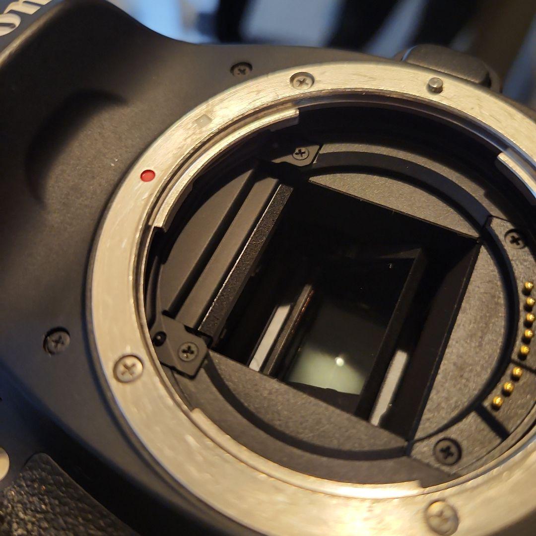 は*ん様 Canon EOS 80D デジタル一眼レフカメラ まとめ売り