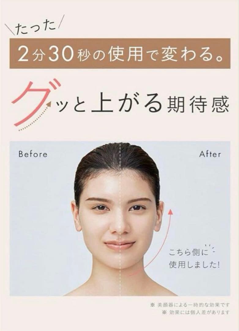 SALONIA EMS LIFT BRUSH サロニア 電気ブラシ　リフトブラシ