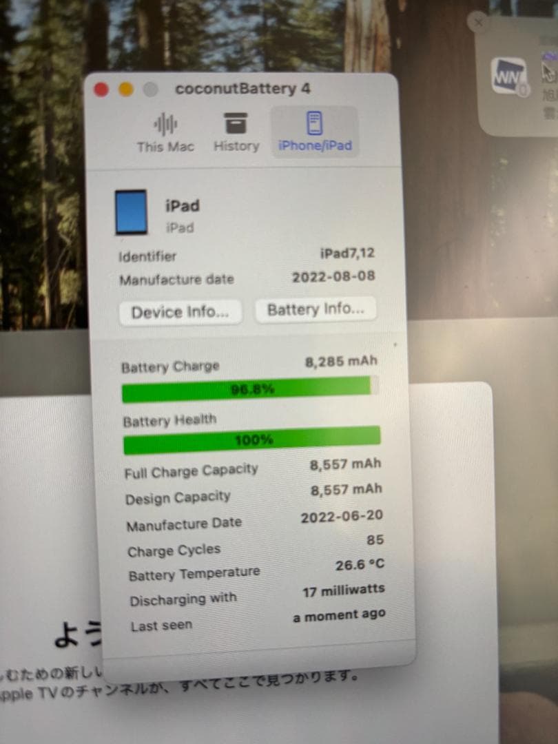 Apple iPad 第7世代 128GB SIMフリー