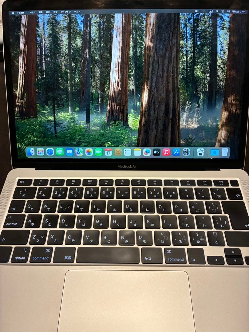 MacBook本体 Apple MacBook Air (Intel Core i3)