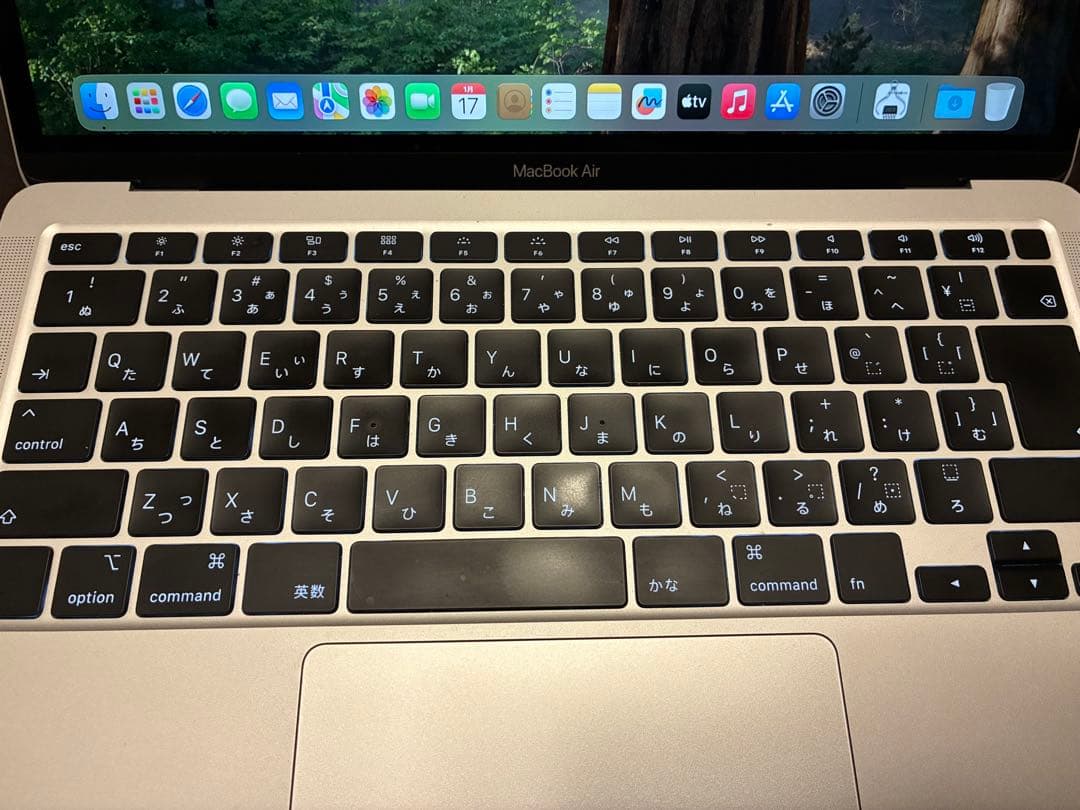 MacBook本体 Apple MacBook Air (Intel Core i3)