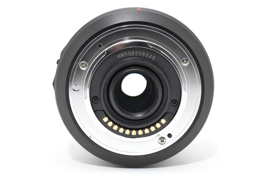 パナソニック LUMIX G VARIO 14-140