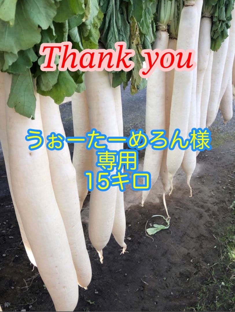 うぉーためろん