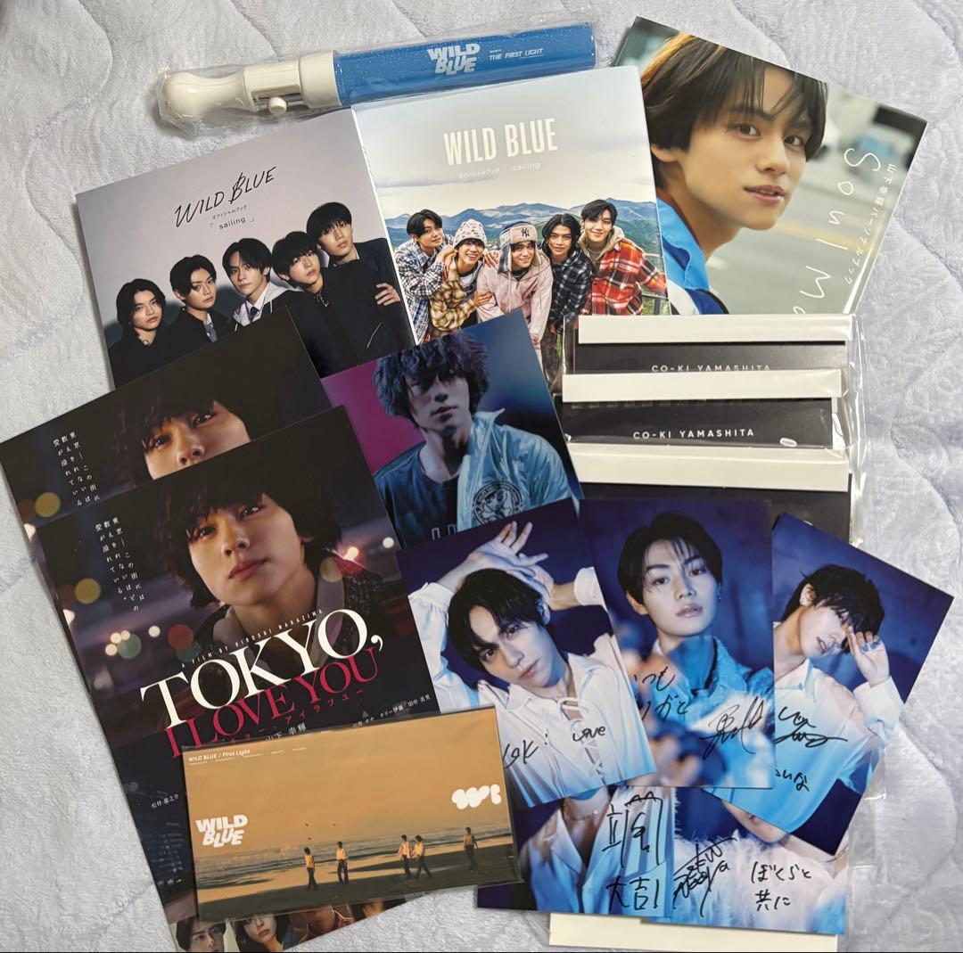 WILD BLUE グッズセット