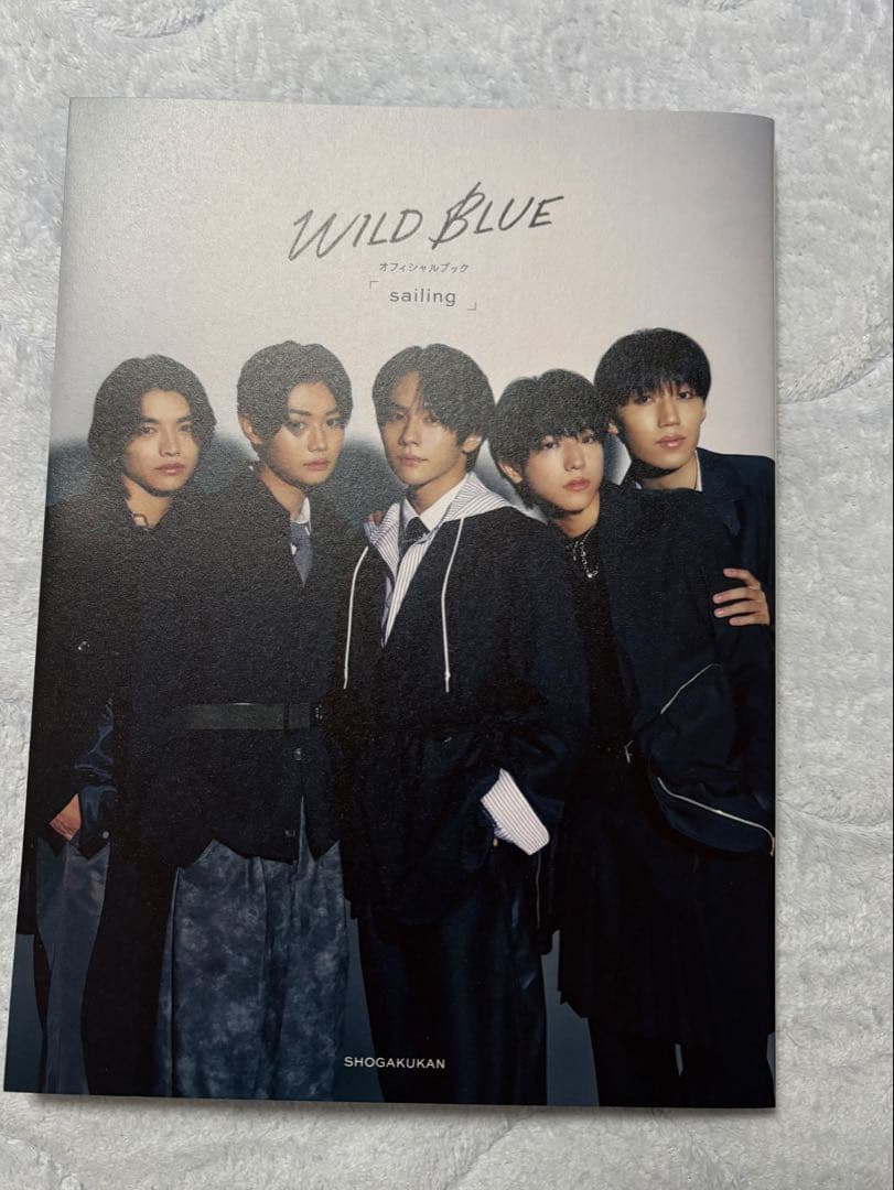 WILD BLUE グッズセット