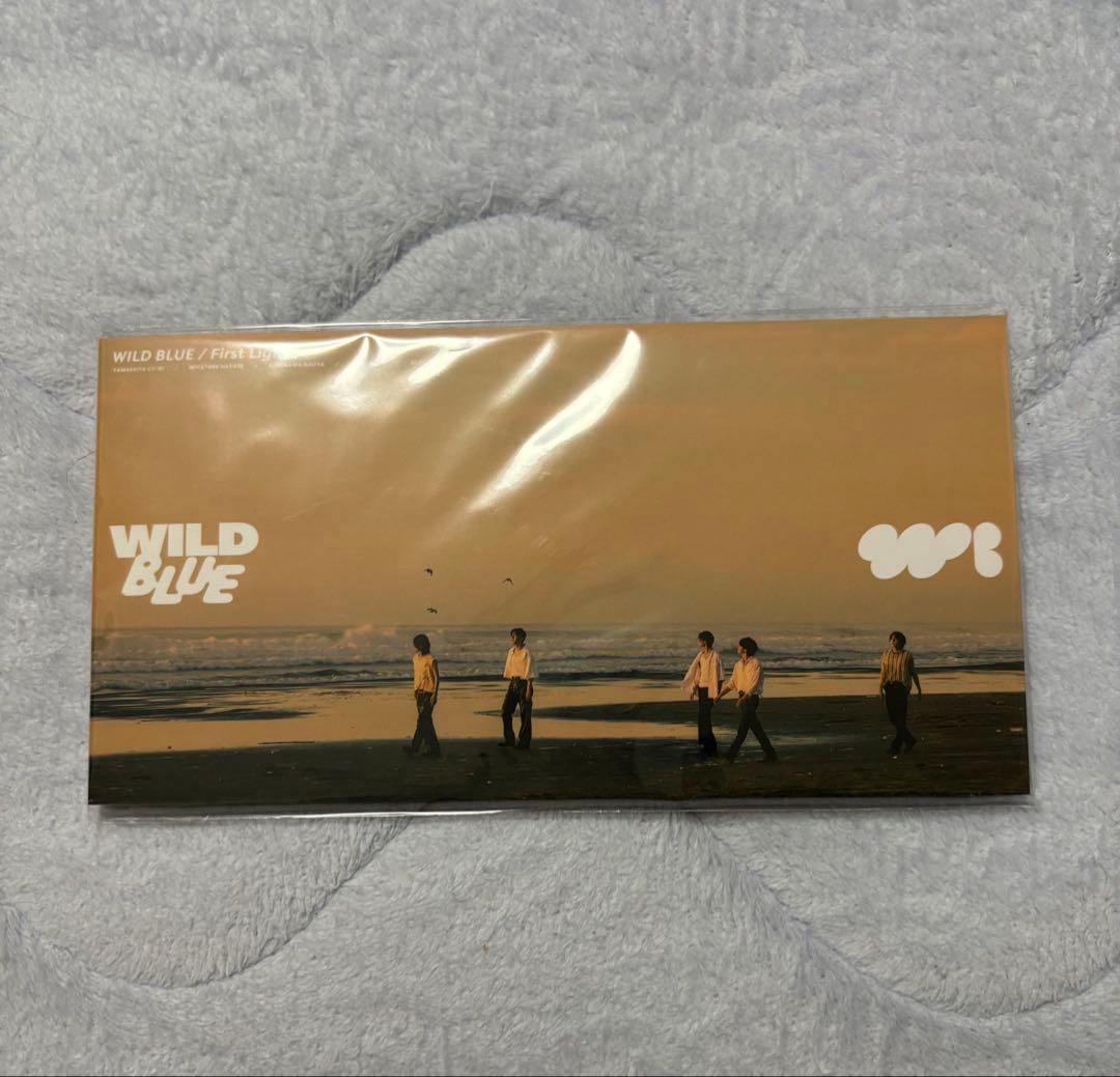 WILD BLUE グッズセット