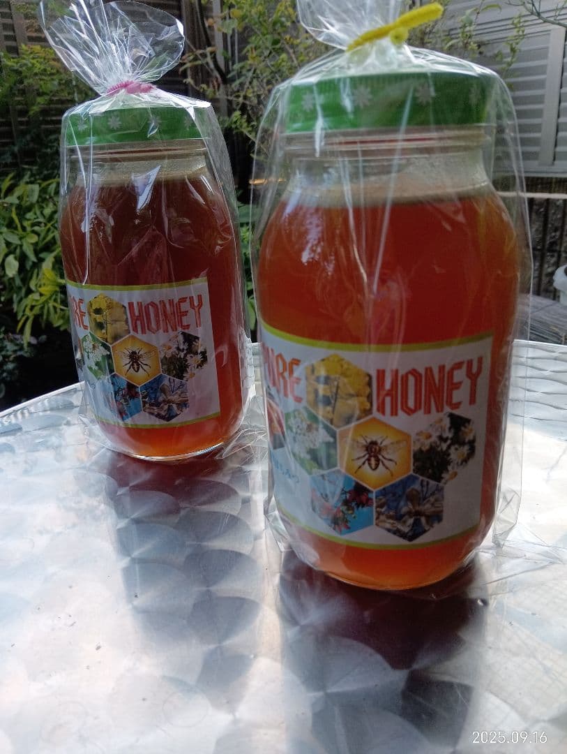 ニホンミツバチの百花蜜　天然 はちみつ 　1150グラム　2本セット