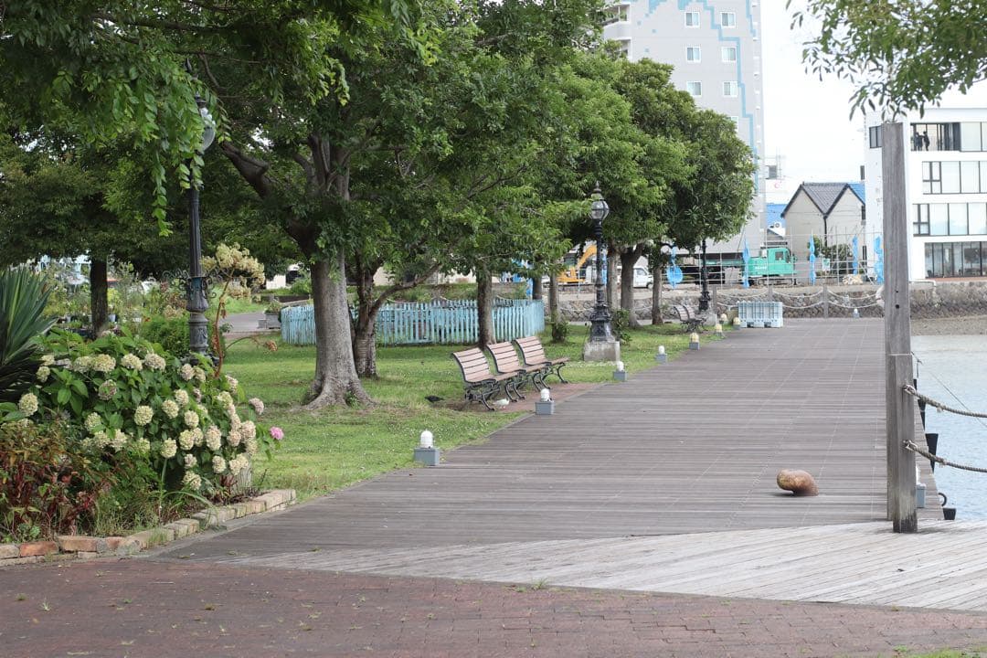 ★希少 M-1(初期型) +★ M-SYSTEM 標準レンズ 50mm F1.4