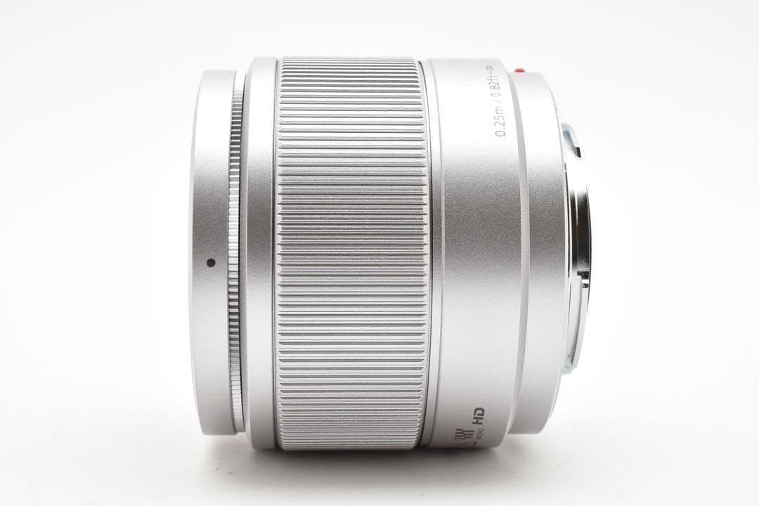 【極美品】Panasonic LUMIX G 25mm F1.7 ASPH.