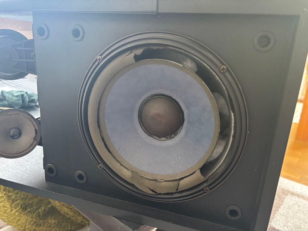 BOSE 301 Series V スピーカー 2個セット