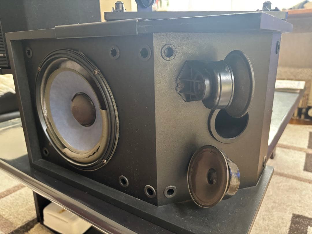 BOSE 301 Series V スピーカー 2個セット