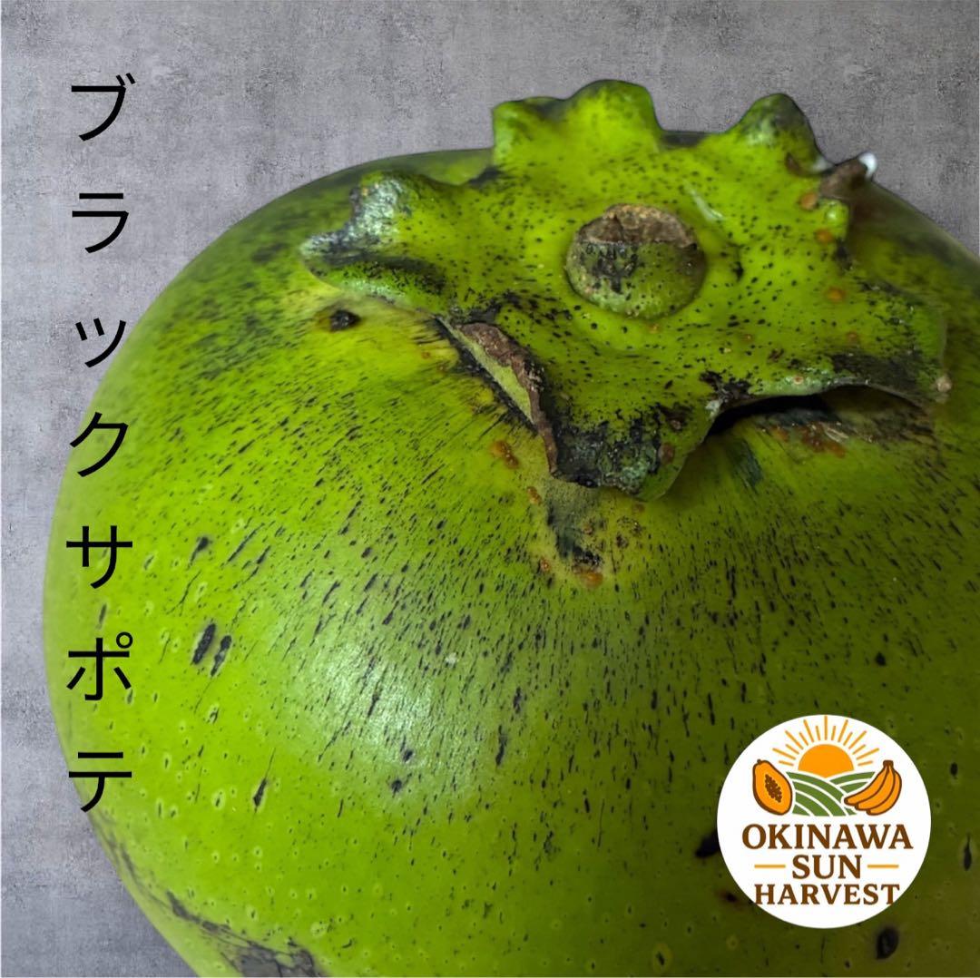 ブラックサポテ 9個