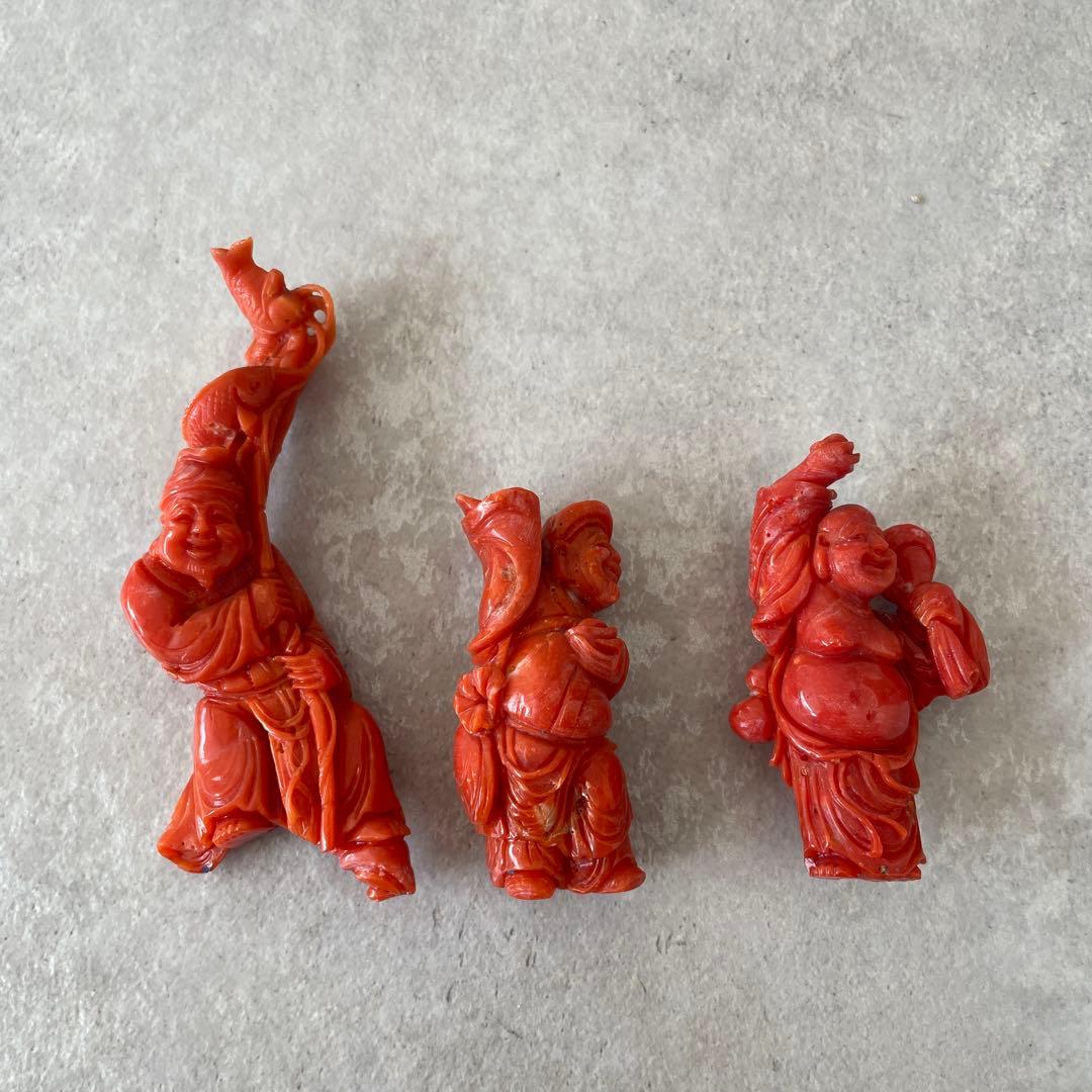 【サンゴを買収する様】ご確認用