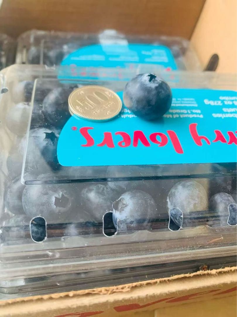 ブルーベリー12パック