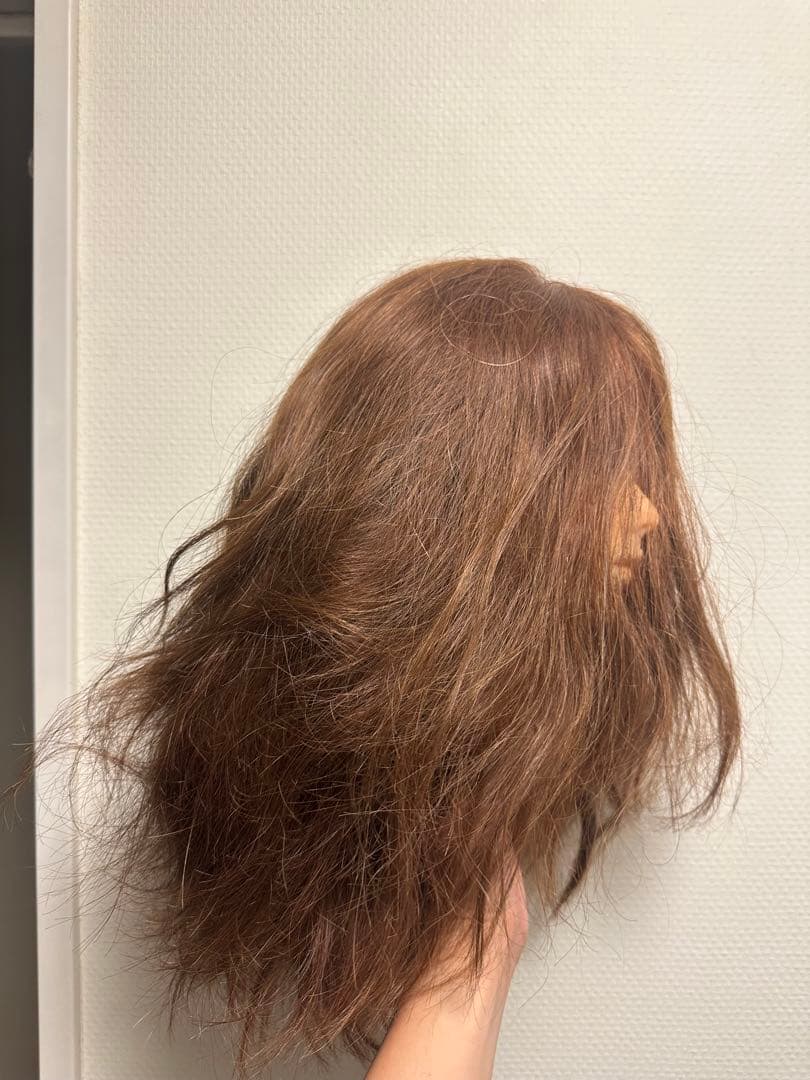 N.B.A.A. ウィッグ ブラウン