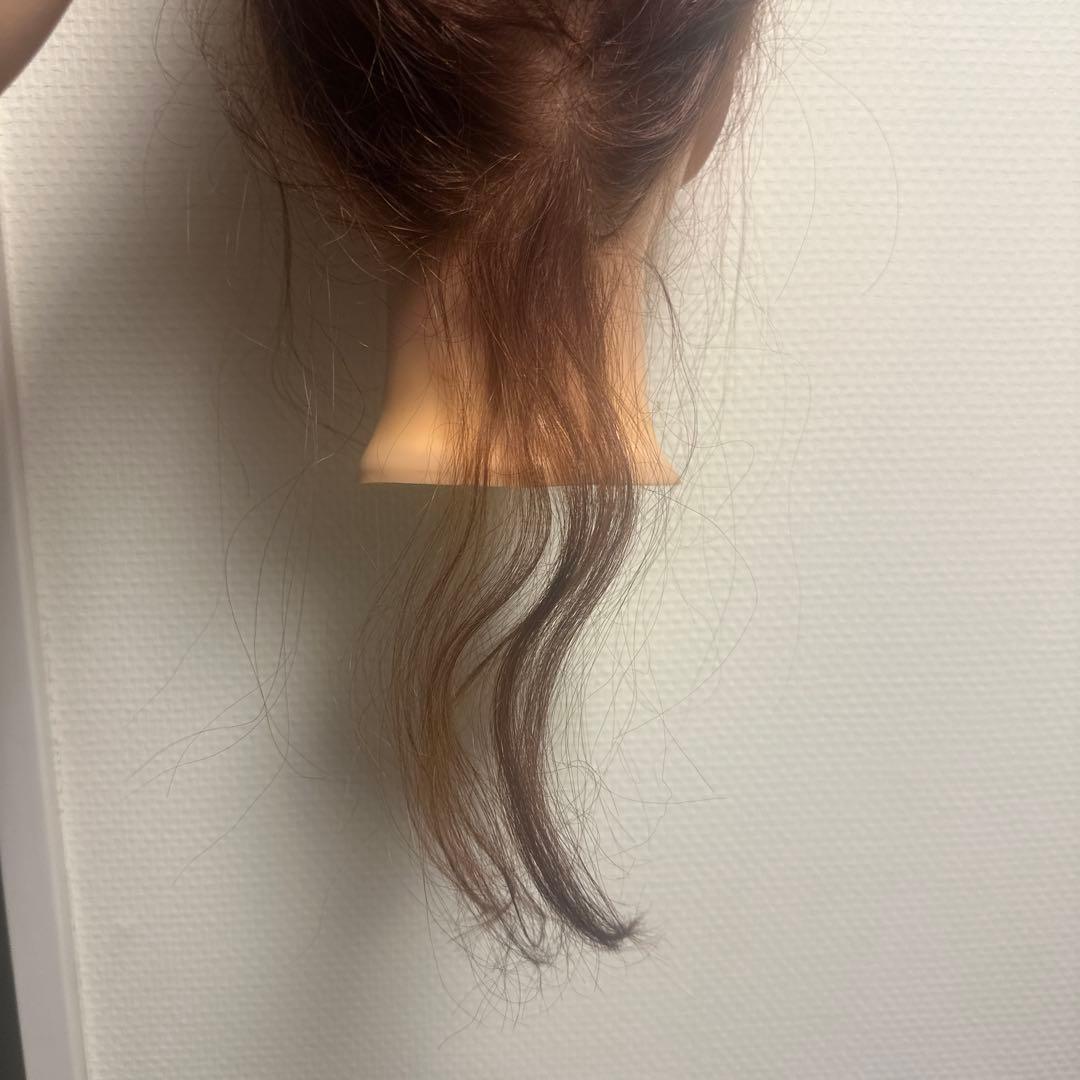 N.B.A.A. ウィッグ ブラウン