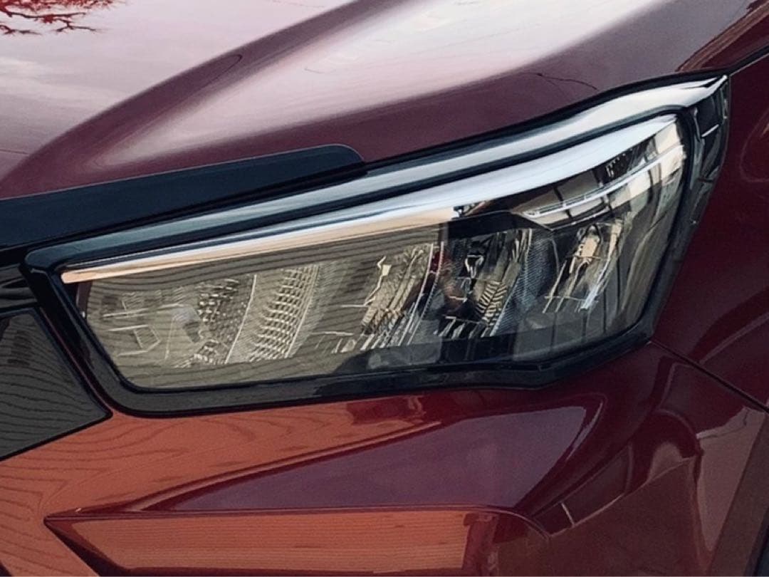 トヨタライズ　ダイハツロッキー　ヘッドライト、テールランプガーニッシュセット